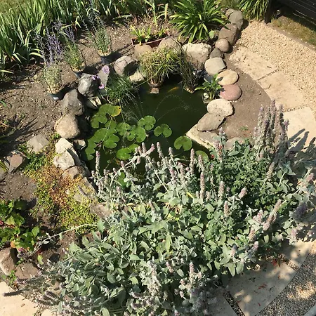 Garden Annexe 2 * Villeneuve-Loubet