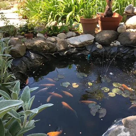 Garden Annexe 2 Hébergement de vacances Villeneuve-Loubet